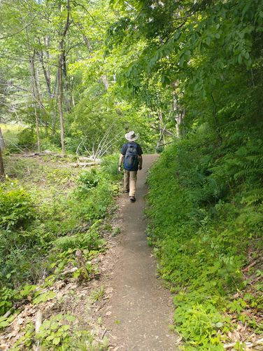 Trail substrate