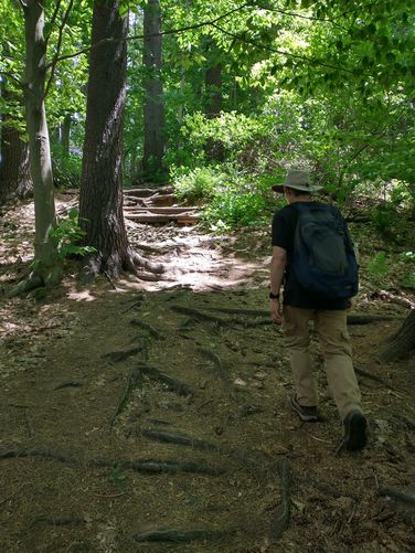 It's a steep climb up the hill