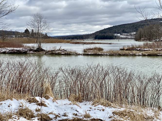 View of Cowanesque Lake / River from the Mocassin Trail