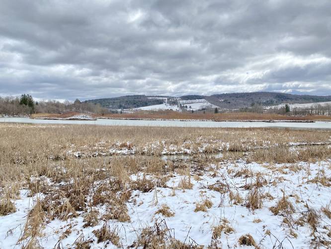 View of Cowanesque Lake / River from the Mocassin Trail
