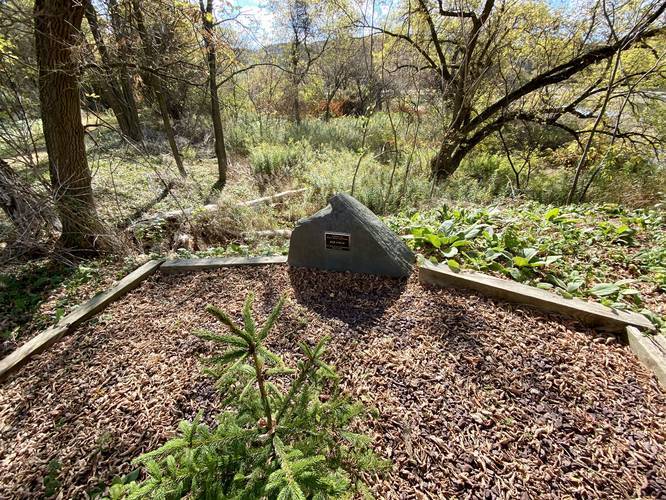 Picture 31 of Moccassin Trail