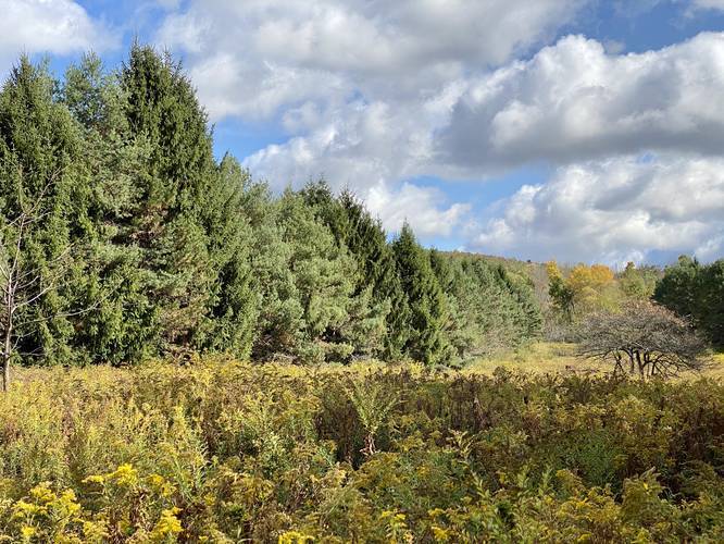 Picture 38 of Moccassin Trail