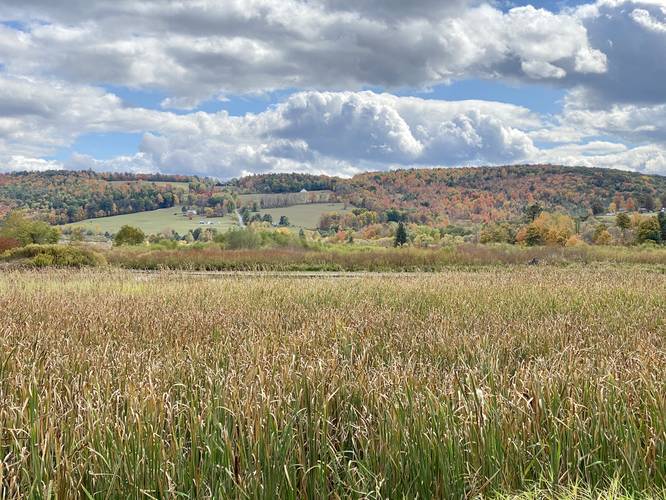 Default image for Moccassin Trail, a 8.0-mile trail in Elkland, Pennsylvania (US)