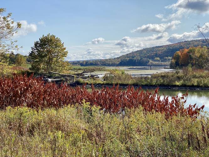 Picture 10 of Moccassin Trail