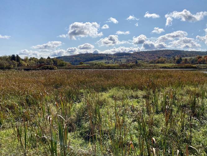 Picture 14 of Moccassin Trail