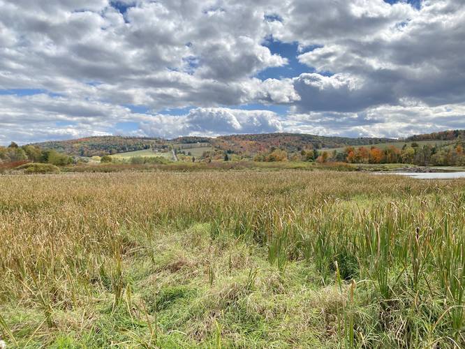 Picture 69 of Moccassin Trail