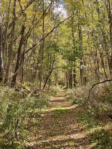 Picture 40 of Moccassin Trail
