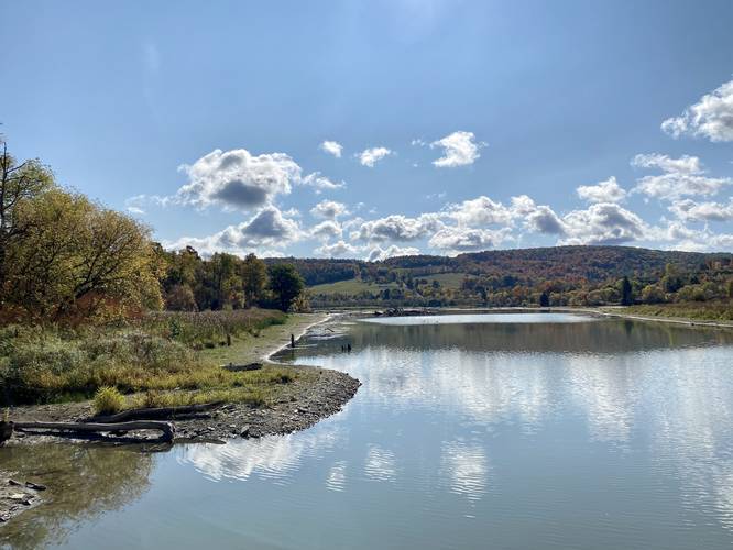 Nelson picnic area view