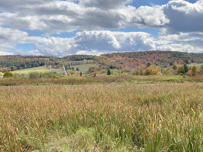 Picture 68 of Moccassin Trail