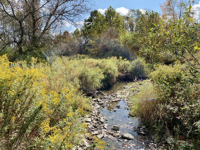 Picture 37 of Moccassin Trail