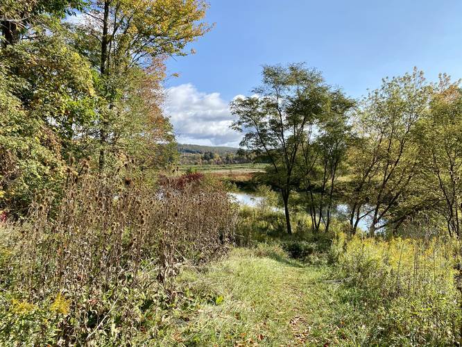 Picture 5 of Moccassin Trail