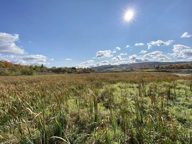 Picture 17 of Moccassin Trail