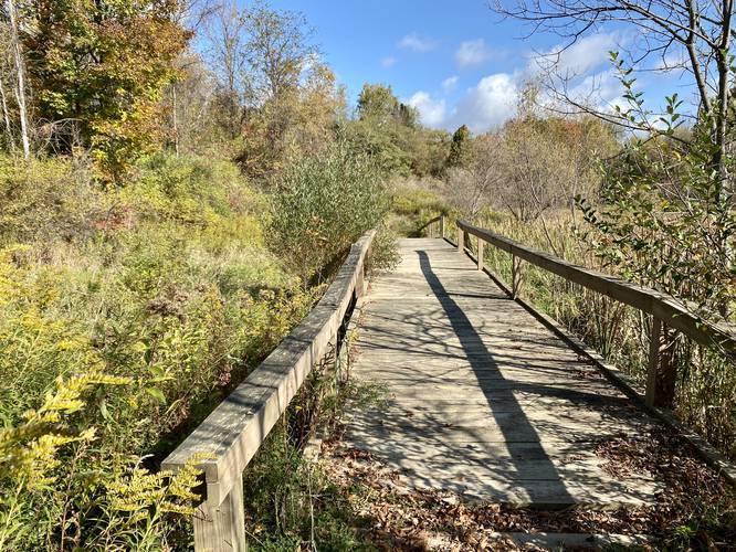 Picture 13 of Moccassin Trail