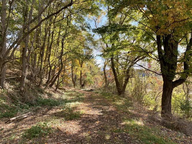 Picture 32 of Moccassin Trail