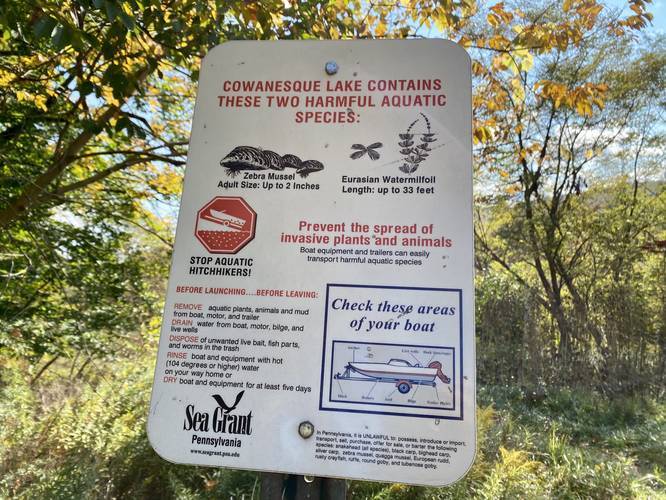 Picture 2 of Moccassin Trail