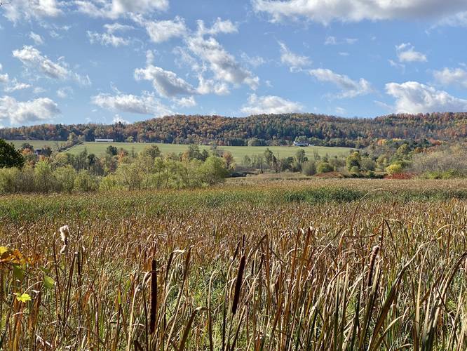 Picture 19 of Moccassin Trail