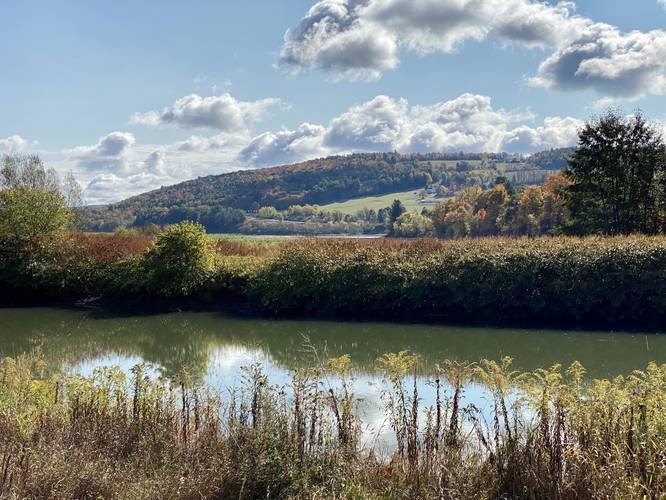 View / Overlook / Vista