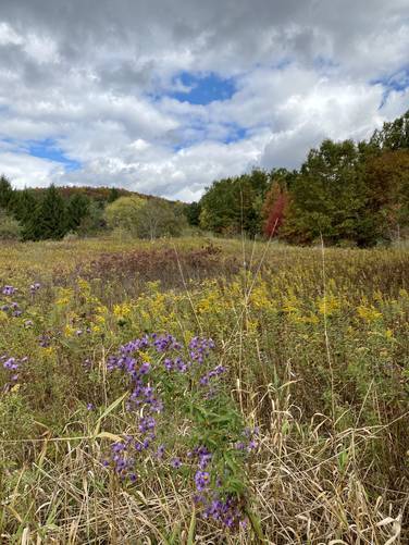 Picture 61 of Moccassin Trail