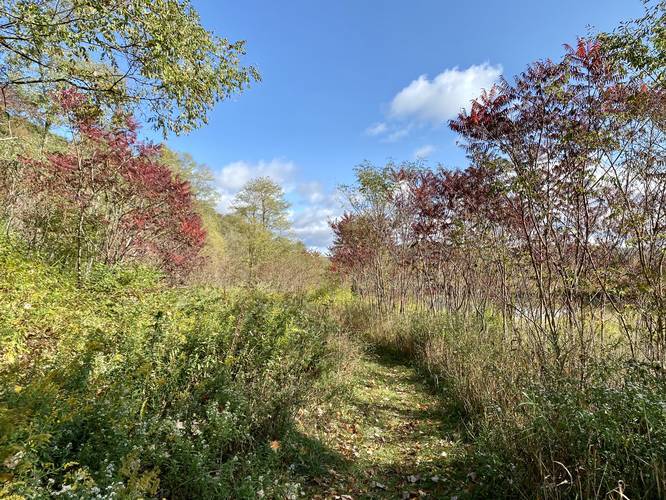 Picture 7 of Moccassin Trail