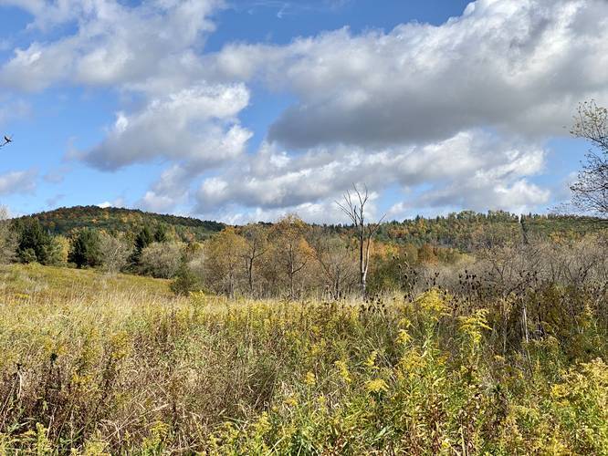 Picture 35 of Moccassin Trail