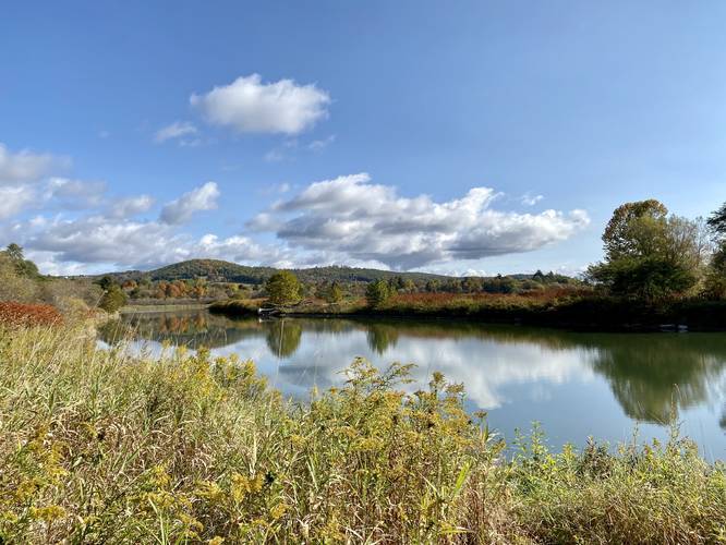 Picture 8 of Moccassin Trail