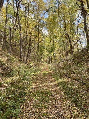 Picture 41 of Moccassin Trail