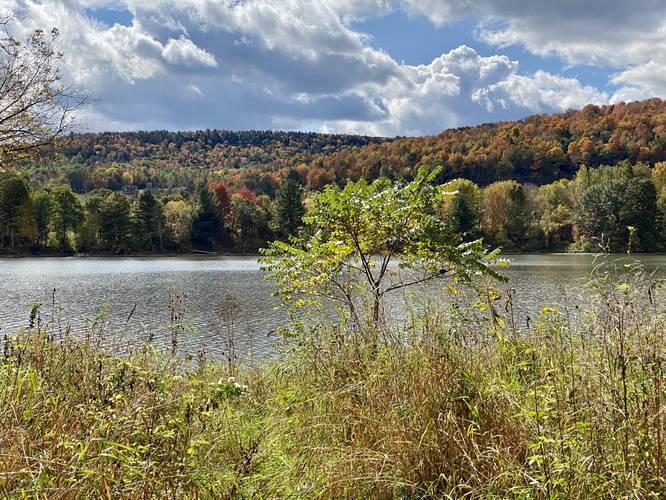 Picture 53 of Moccassin Trail