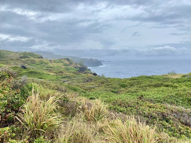 View of Maui's northern coastline from the Mokolea Point Trail