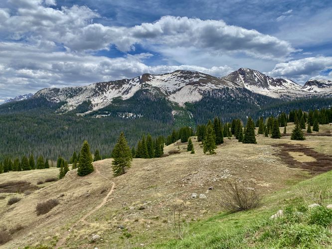 View of Snowdon Peak from Molas Pass
