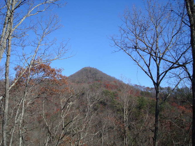 Picture 6 of Mollys Knob Hike 110609