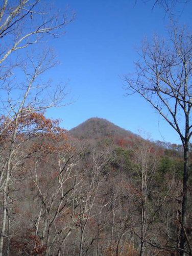 Picture 7 of Mollys Knob Hike 110609