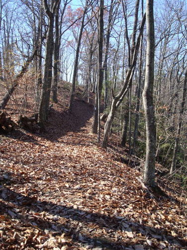 Picture 8 of Mollys Knob Hike 110609