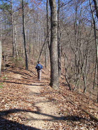 Picture 9 of Mollys Knob Hike 110609