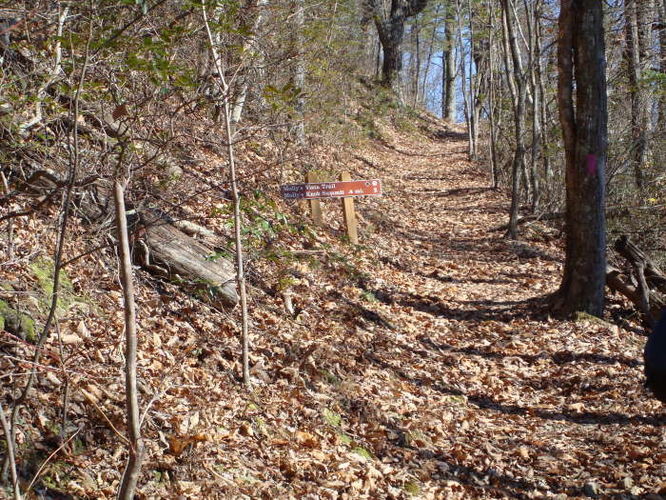 Picture 12 of Mollys Knob Hike 110609