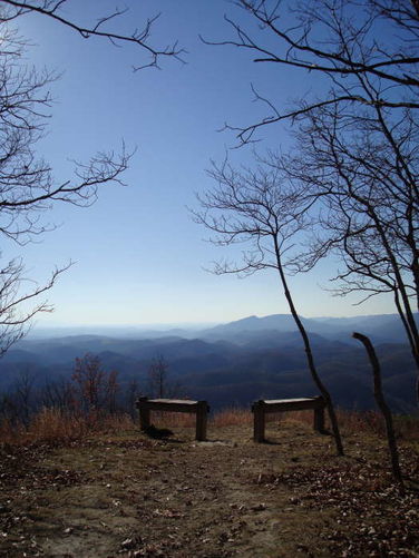 Picture 15 of Mollys Knob Hike 110609