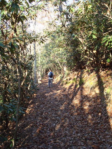 Picture 24 of Mollys Knob Hike 110609