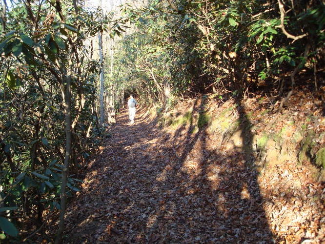 Picture 25 of Mollys Knob Hike 110609