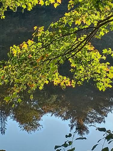 Fall foliage beside the reservoir