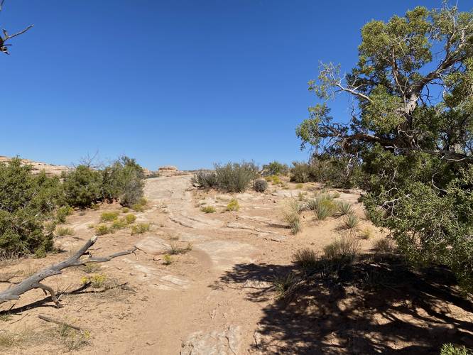 Monitor and Merrimac trail