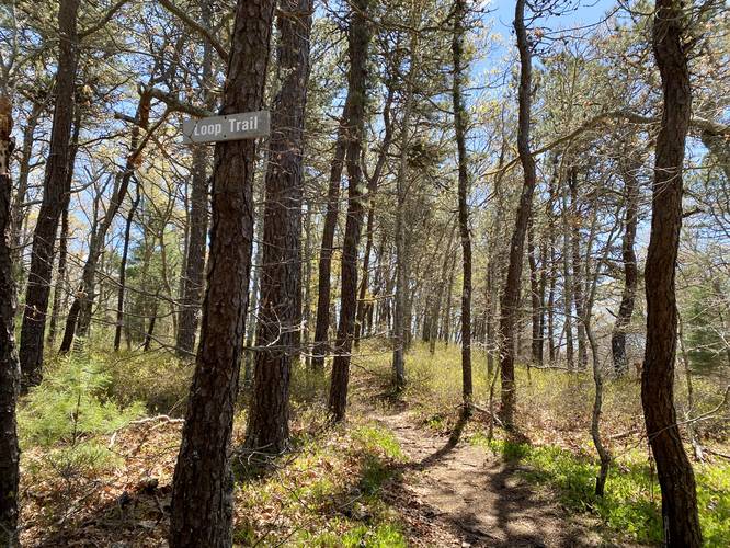 Picture 3 of Monks Park Loop Trail