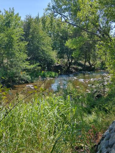 Beaver Creek 