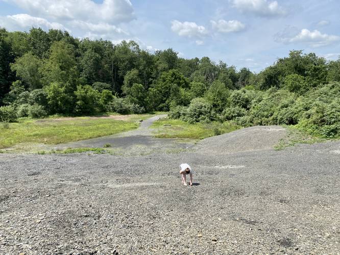 Searching in the Montour Fossil Pit