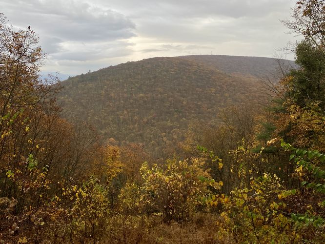 Montoursville Overlook (view of East Bald Eagle Mountain)