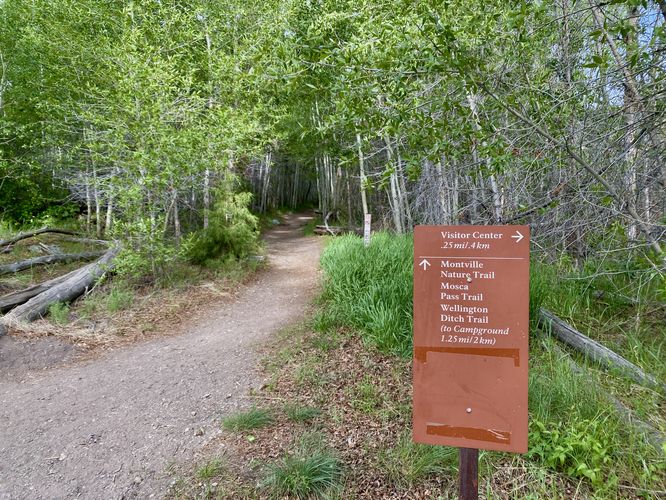 Montville Nature Loop Trail trailhead (Mosca Pass)