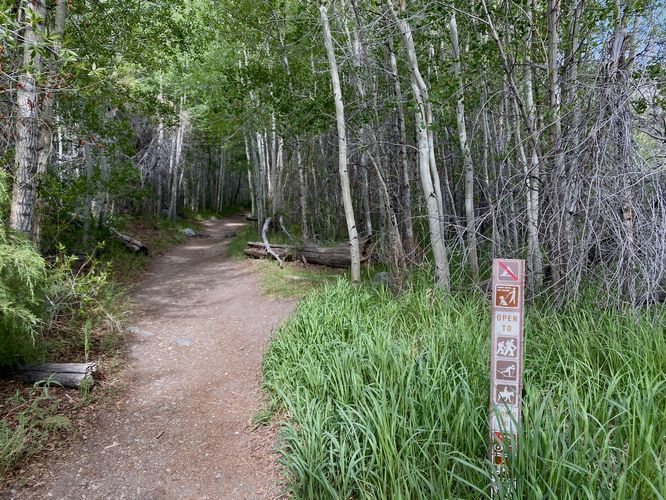 Dirt path of the Montvill Nature Loop Trail