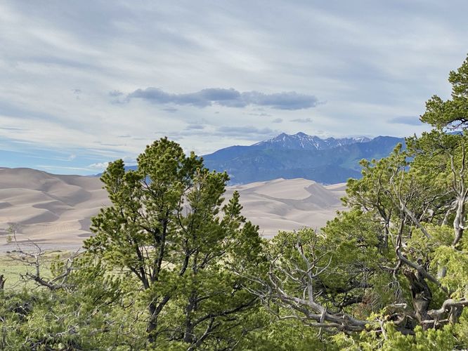 View of the Great Sand Dunes and Sangre de Cristo Mountains