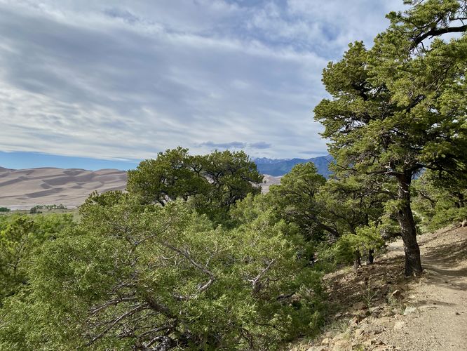 Trail opens up with views of the dunes