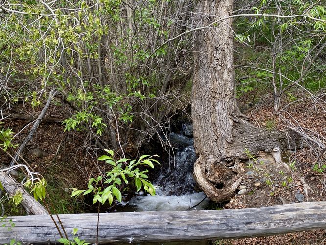 2-foot tall slide waterfall in Mosca Creek