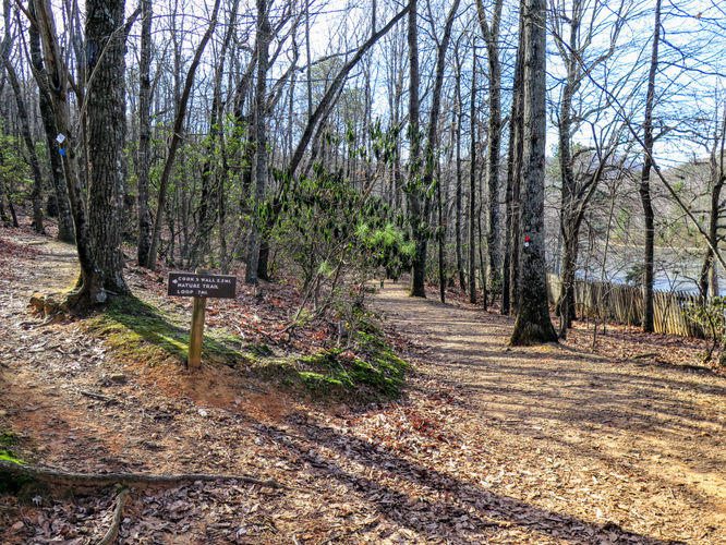 Picture 7 of Moores Knob Hike 010718