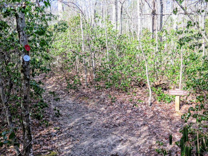 Picture 10 of Moores Knob Hike 010718